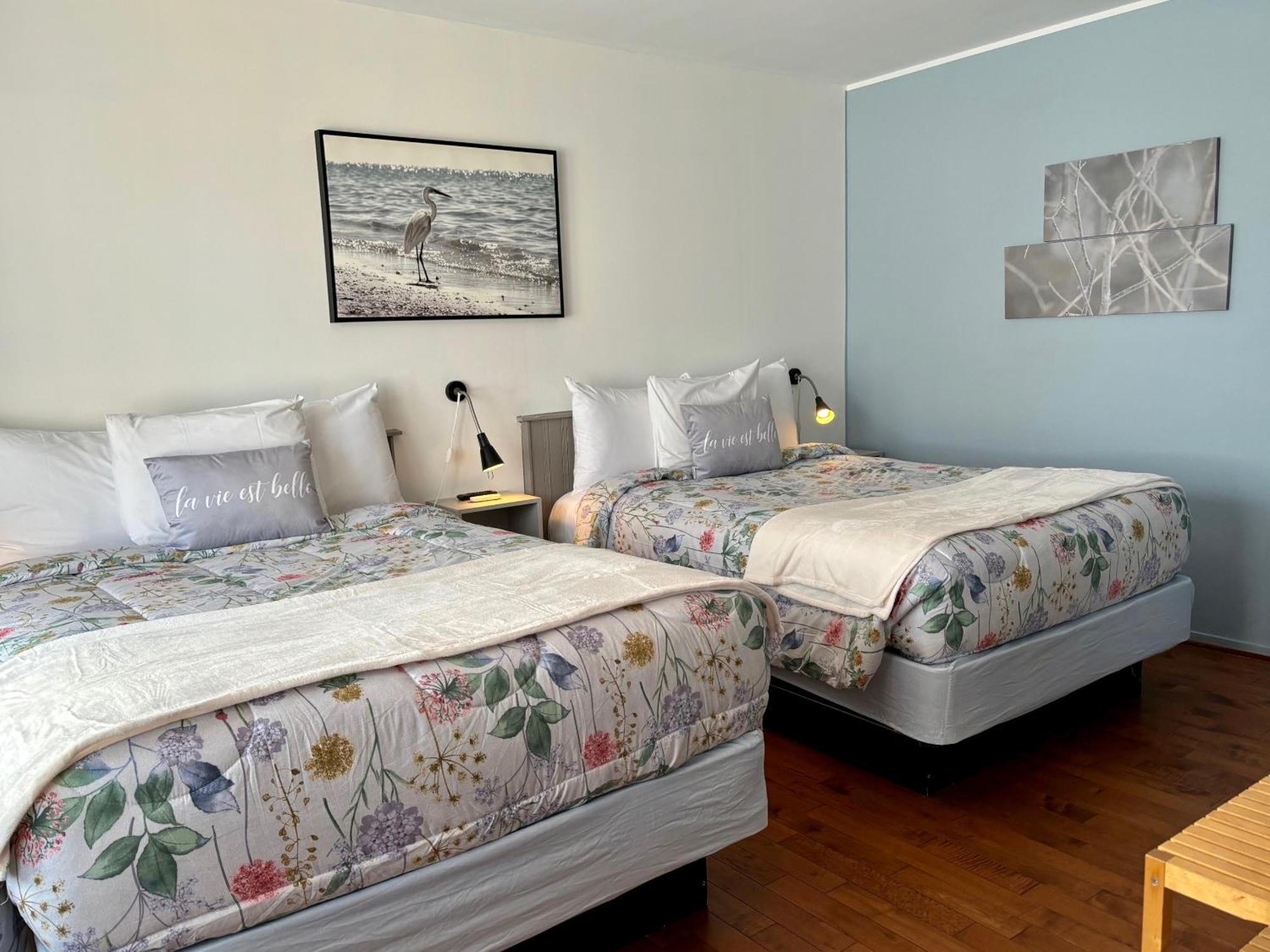 Motel Boutique Hygge بيه سان بول المظهر الخارجي الصورة