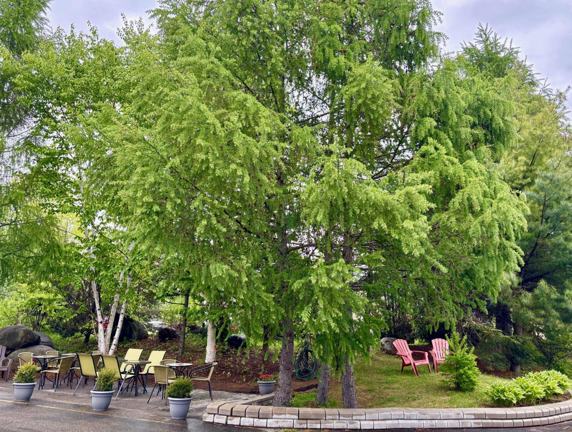 Motel Boutique Hygge بيه سان بول المظهر الخارجي الصورة
